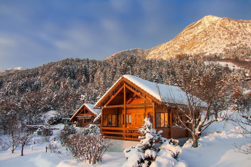 Chalet Carpe Diem La Batie-Neuve Ruang foto